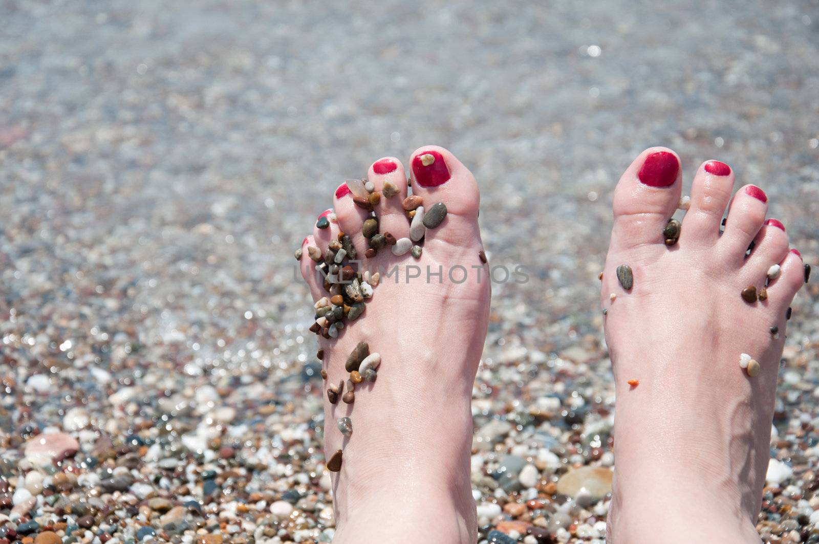 Female feet on a background of sea water