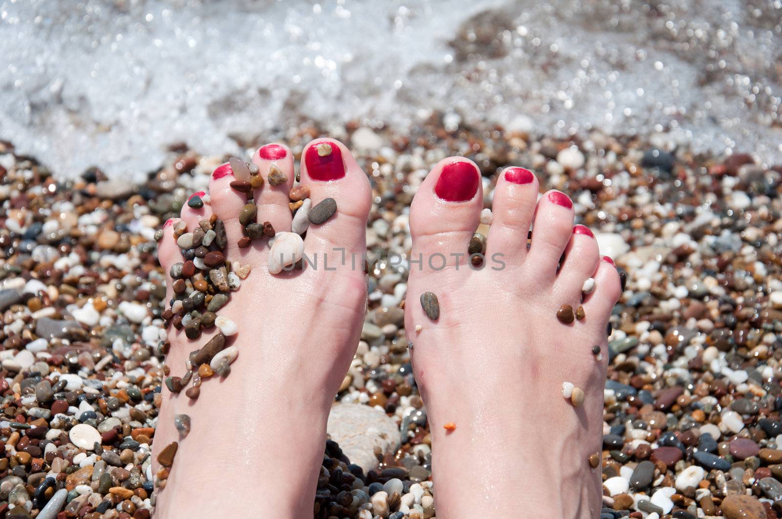 Female feet on a background of sea water by olgavolodina