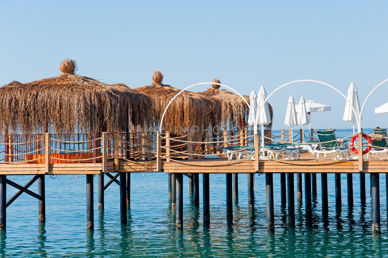 Navy Pier with pergolas by olgavolodina