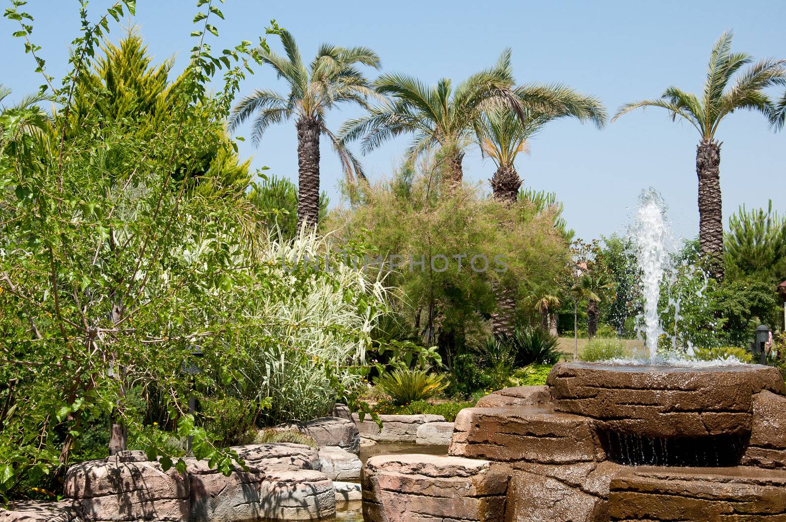 Landscaping - a stone fountain and pond by olgavolodina