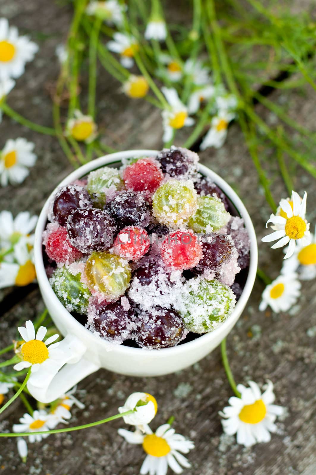 Candied fruit in a bowl by olgavolodina