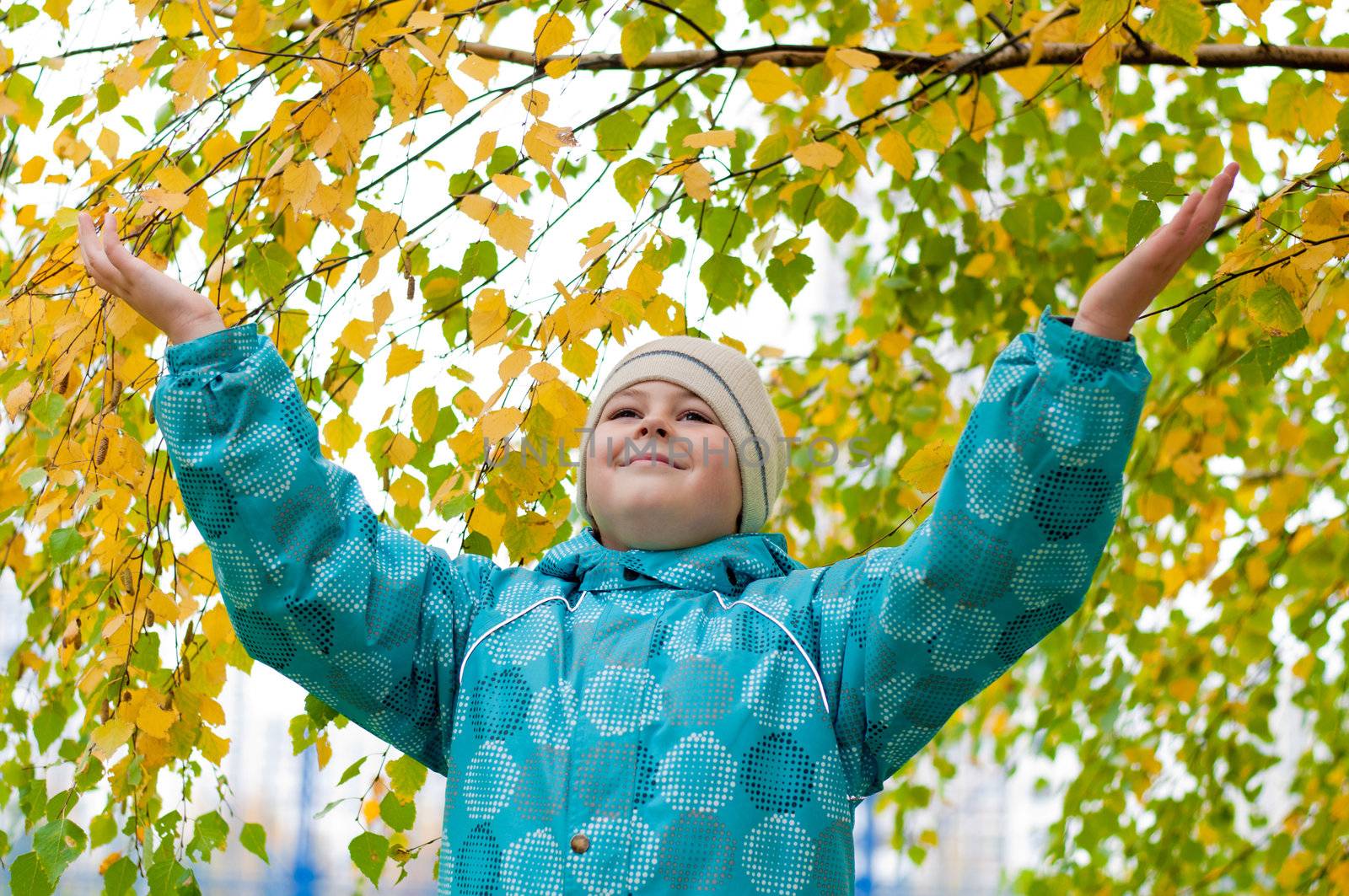 A boy in a birch forest in autumn