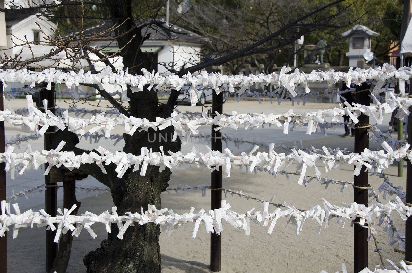 Typical Omikuji at a japanese Shrine in four rows