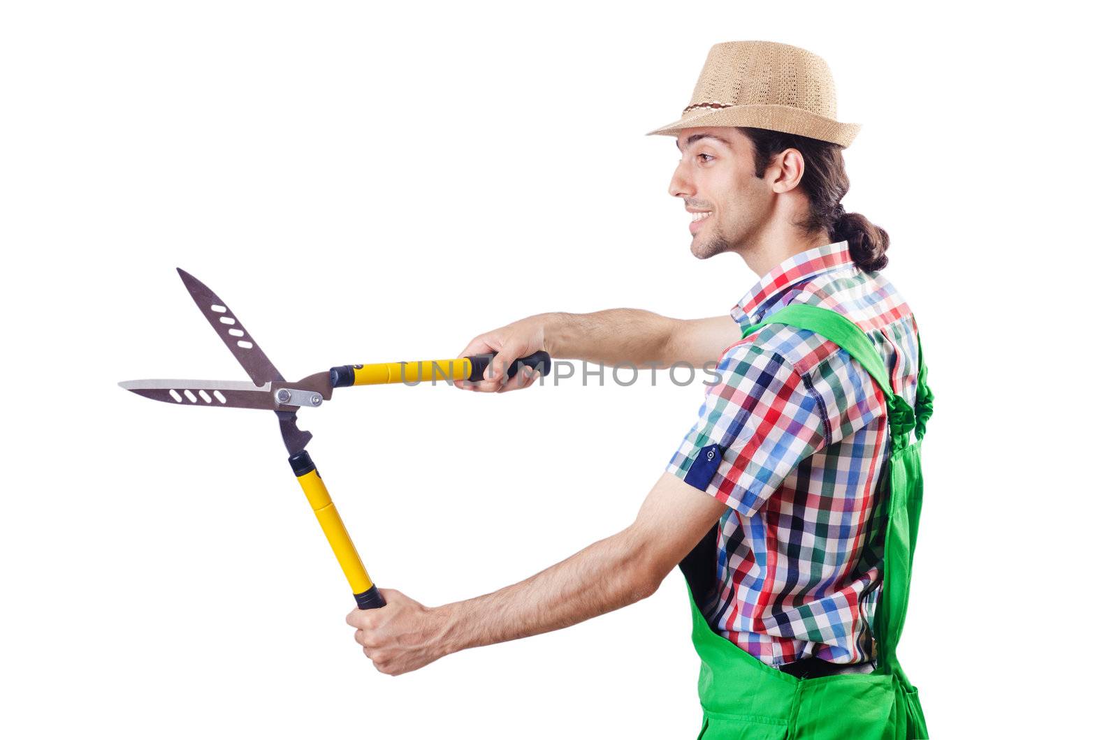 Man gardener with shears on white