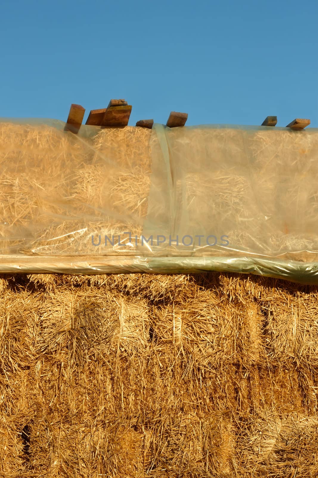 Big pile of straw covered with polyethylene film from above