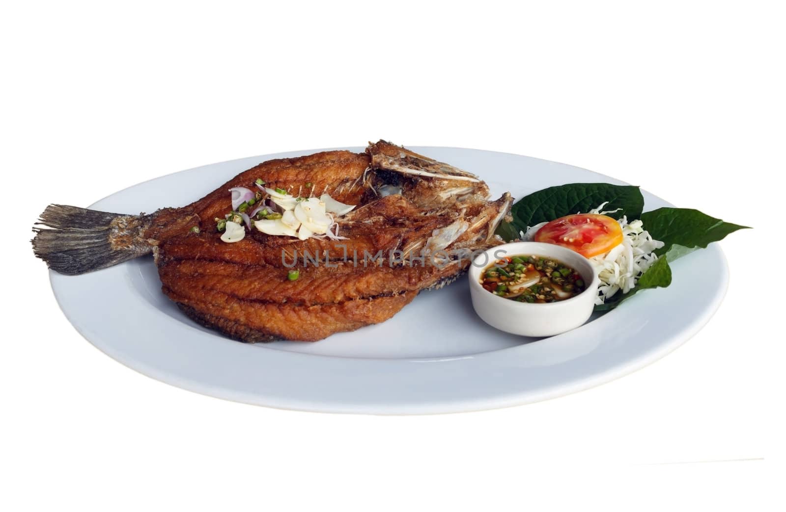 Fried white perch Fish with Fish sauce, delicious thai food.