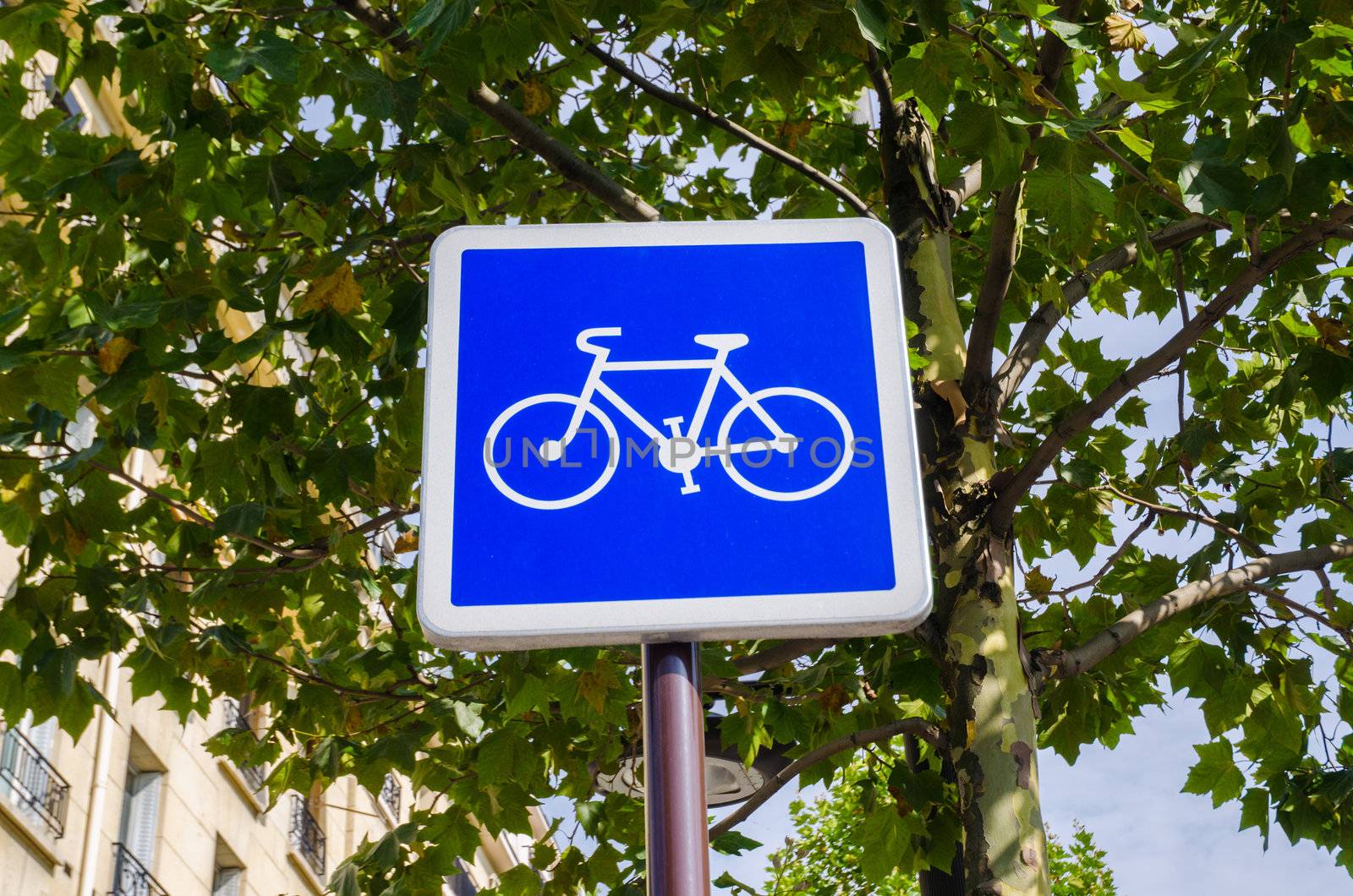 Bicycle sign on blue background