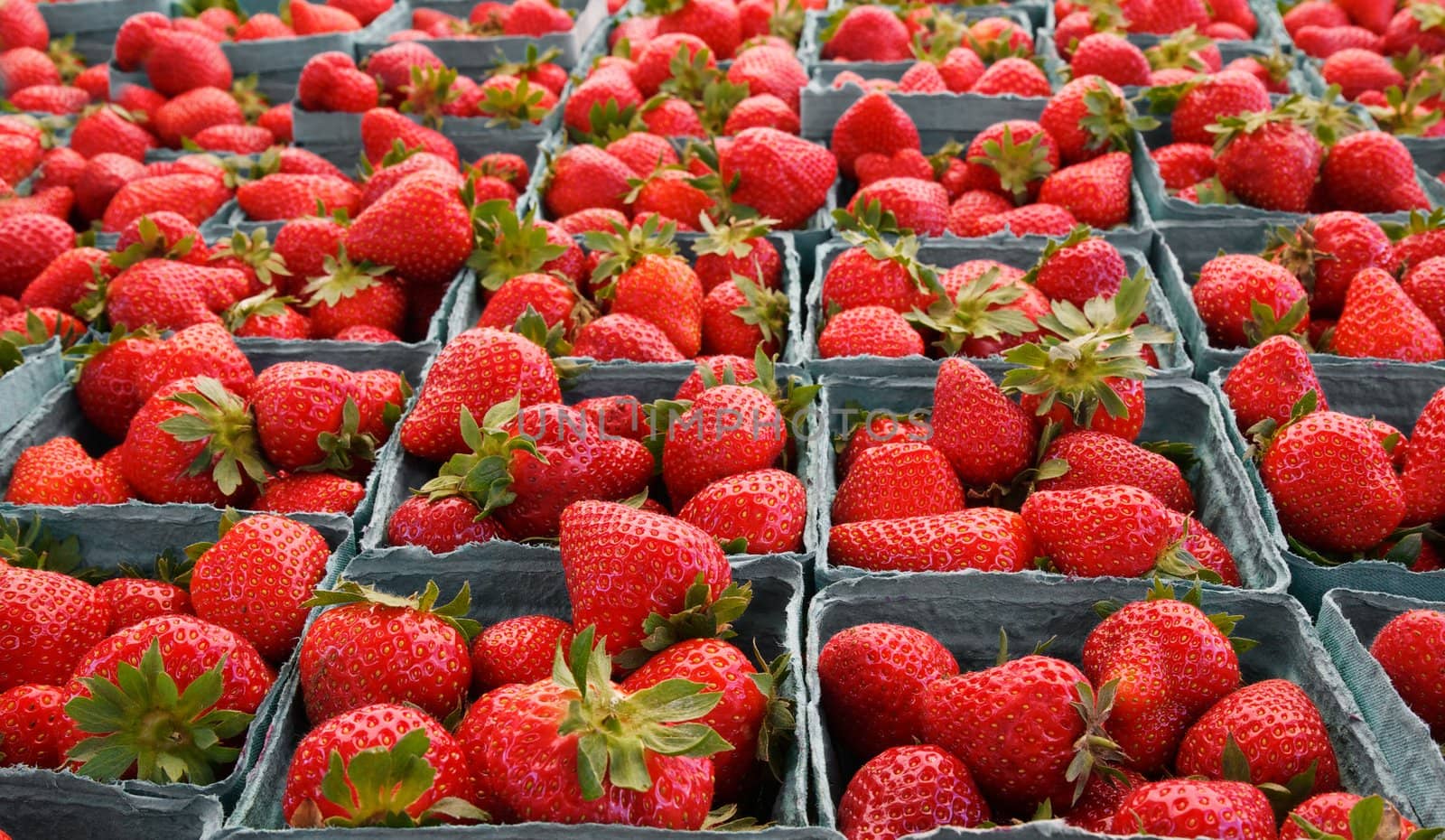 Larger DOF horizontal strawberries by bobkeenan