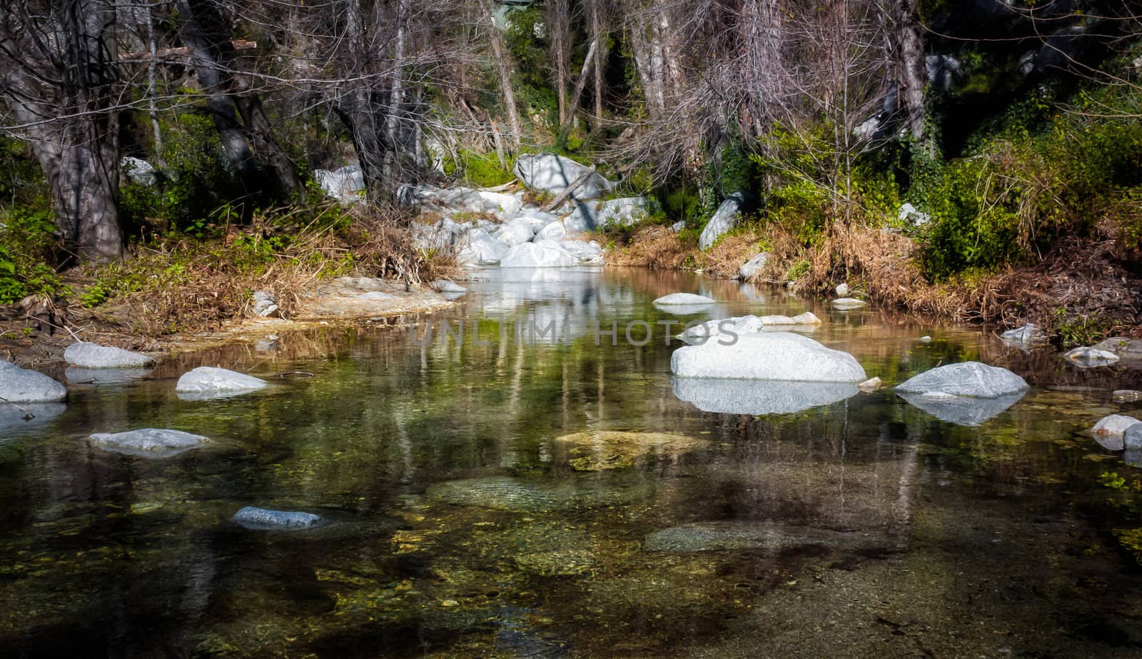 Placid Waters at Chantry Flats by wolterk