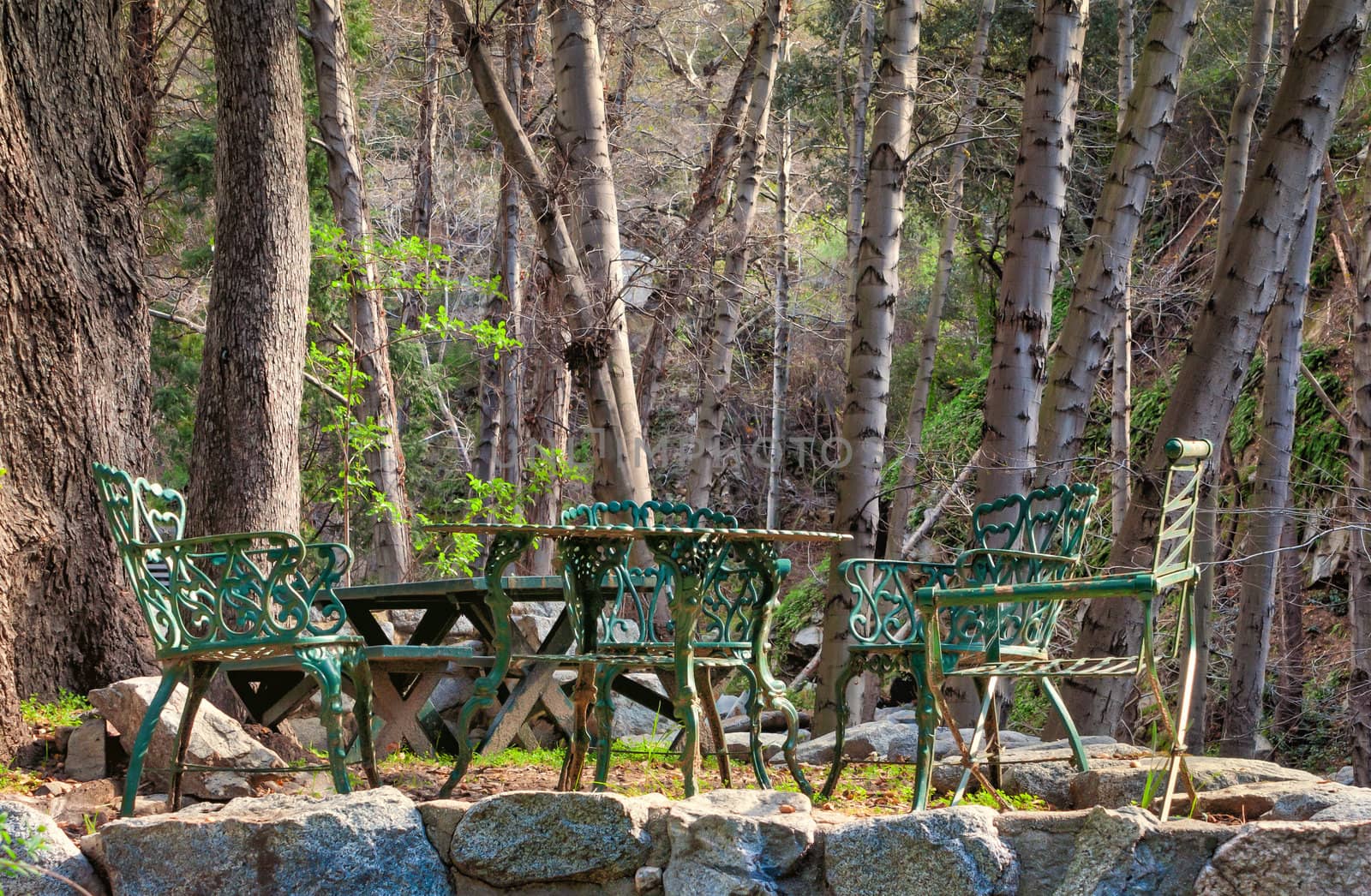 Table and Chairs in the Forest at Chantry Flats