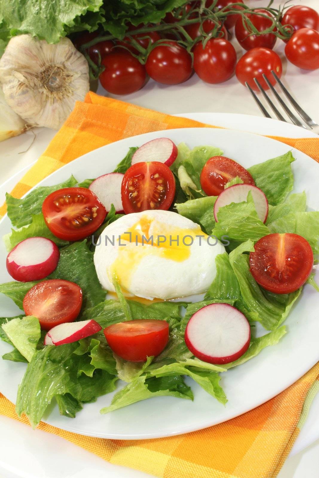 poached egg by silencefoto