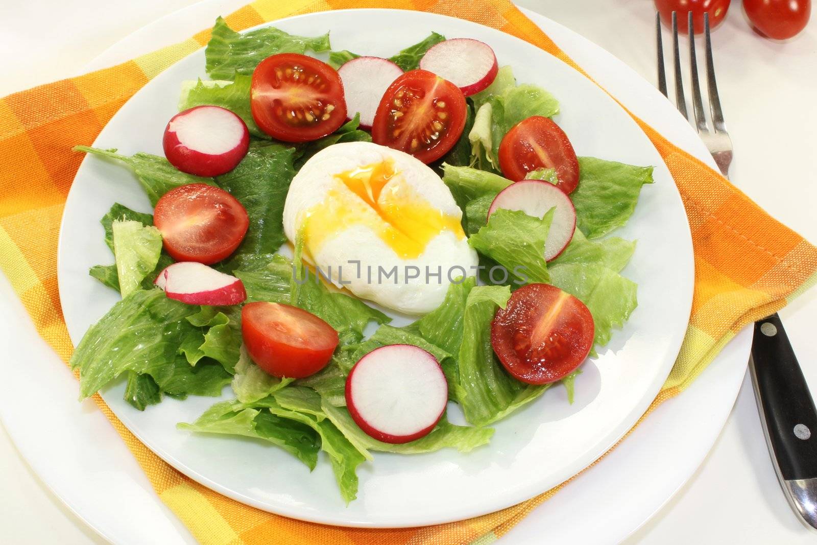 colorful mixed salad with poached egg