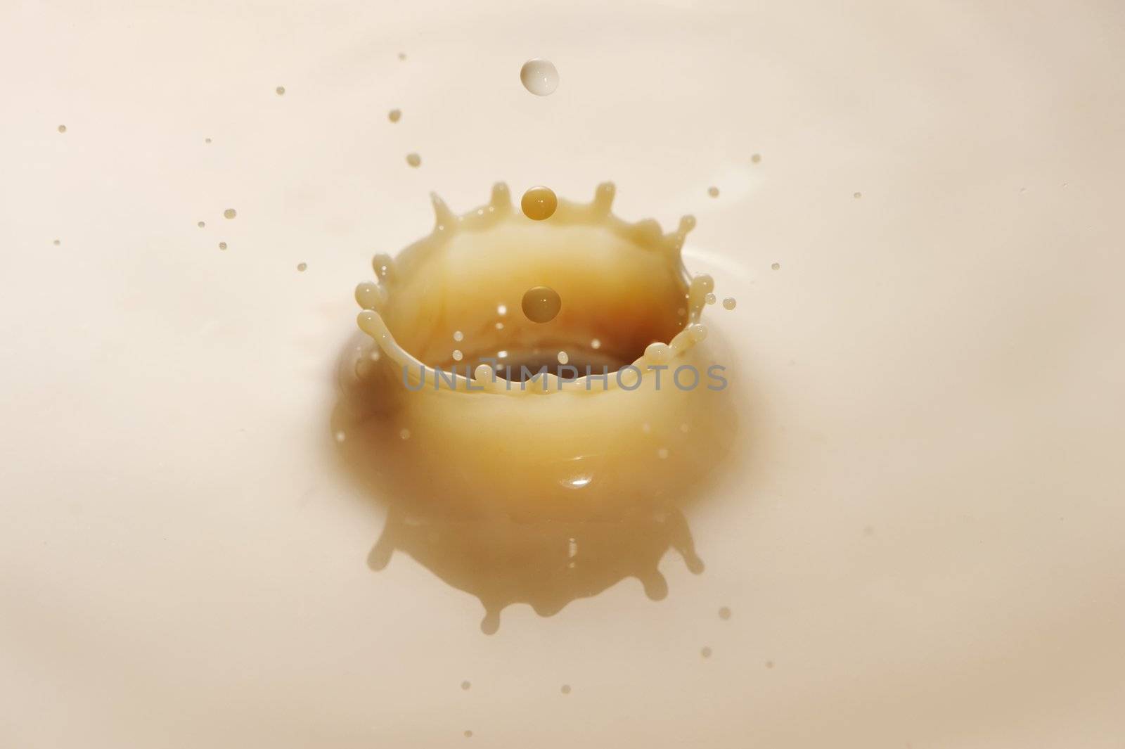 Coffee drop ripple in milk