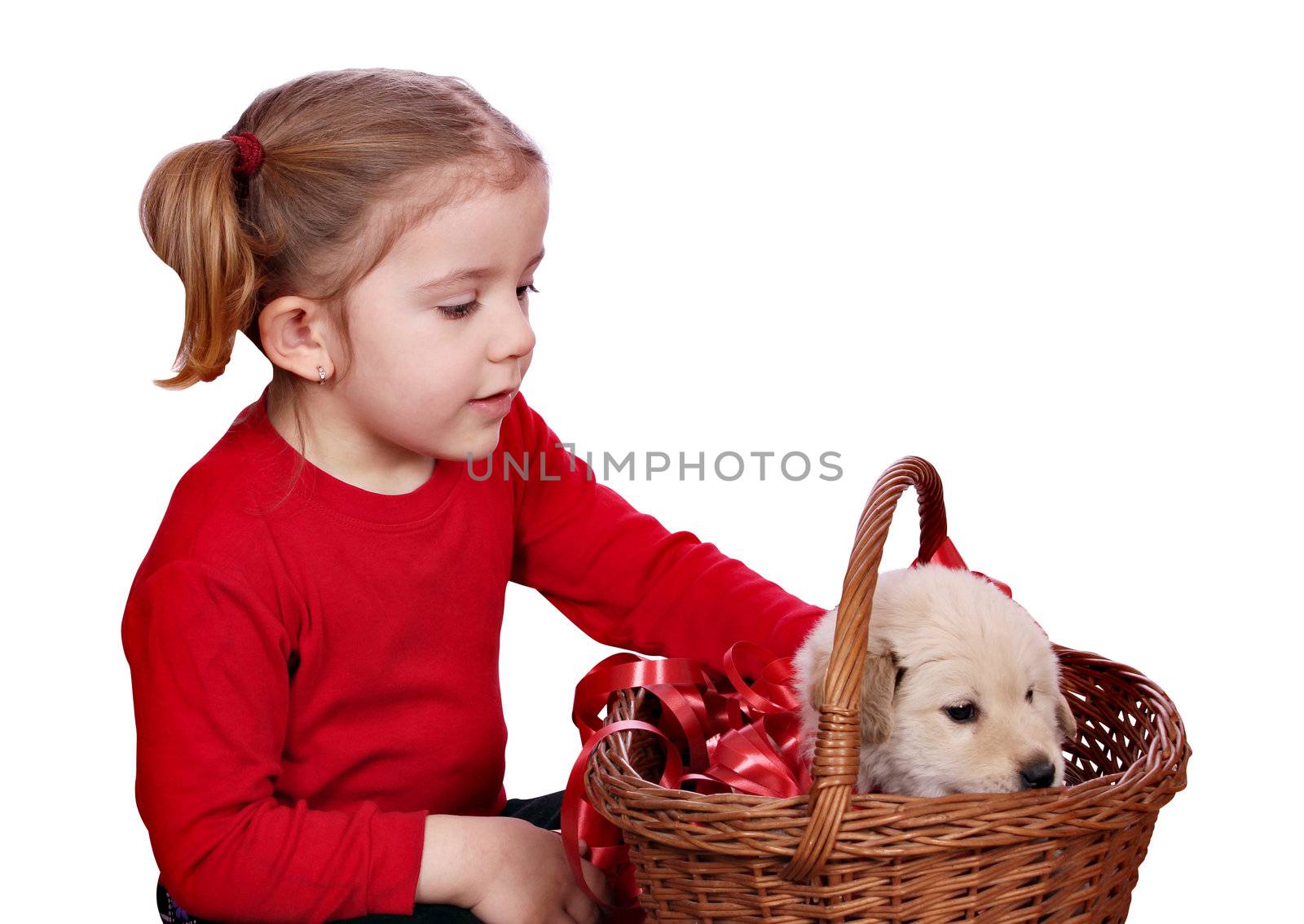 little girl and puppy