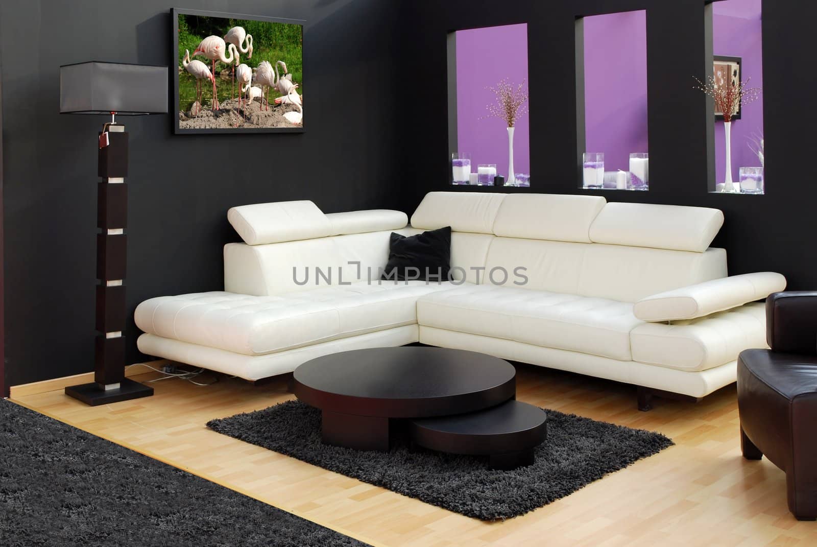 modern furniture and lamp