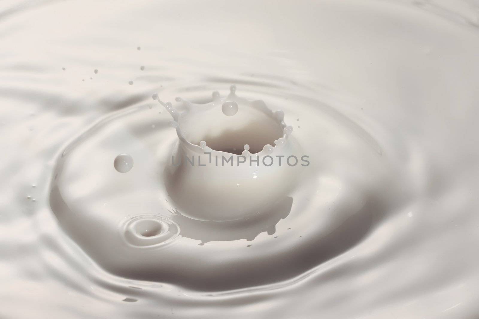 Milk drop ripple close up