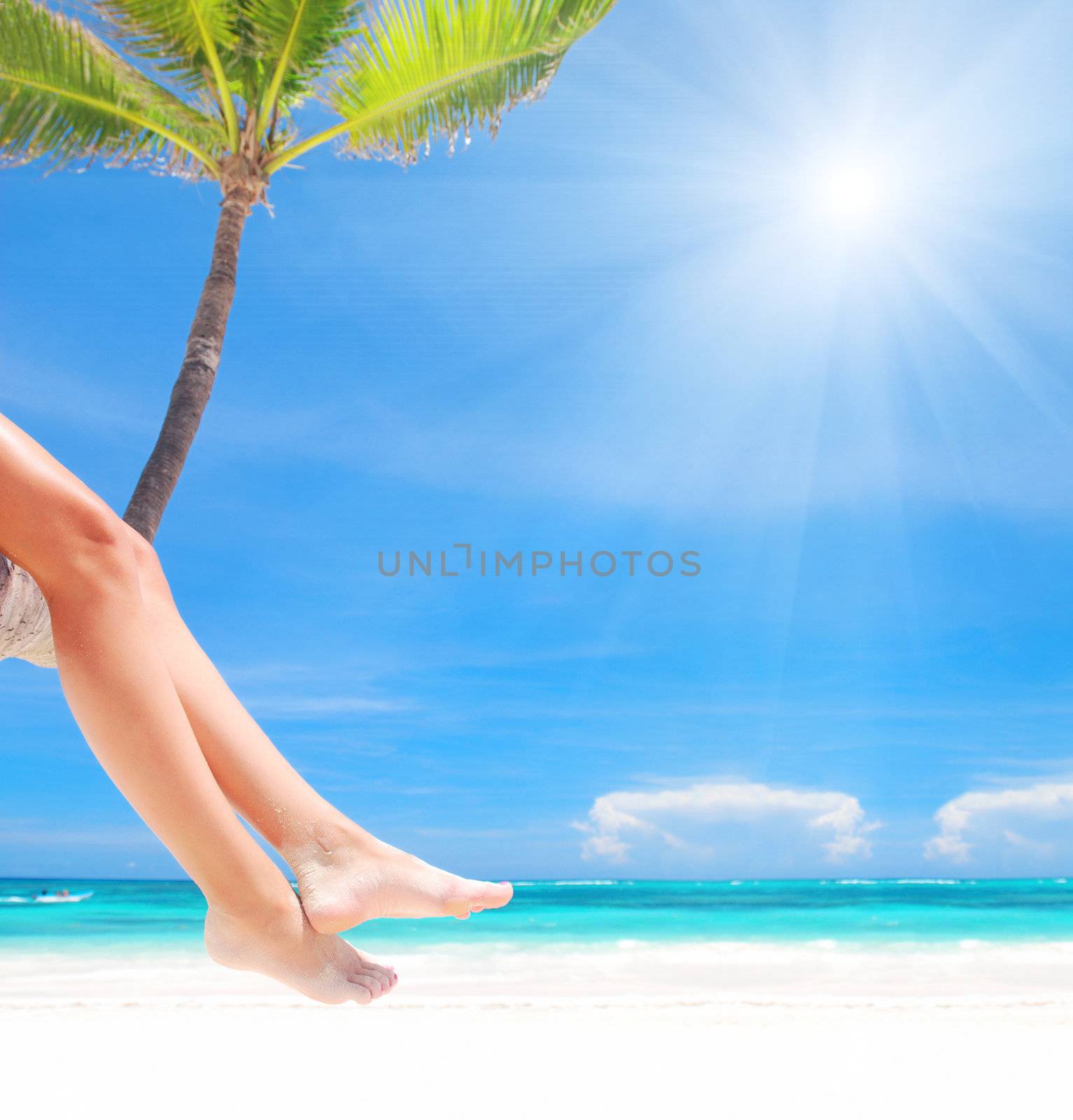 Woman on palm on caribbean beach