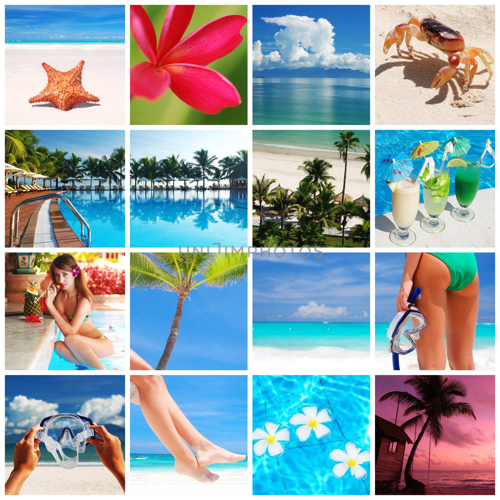 Collage made with beautiful tropical resort shots