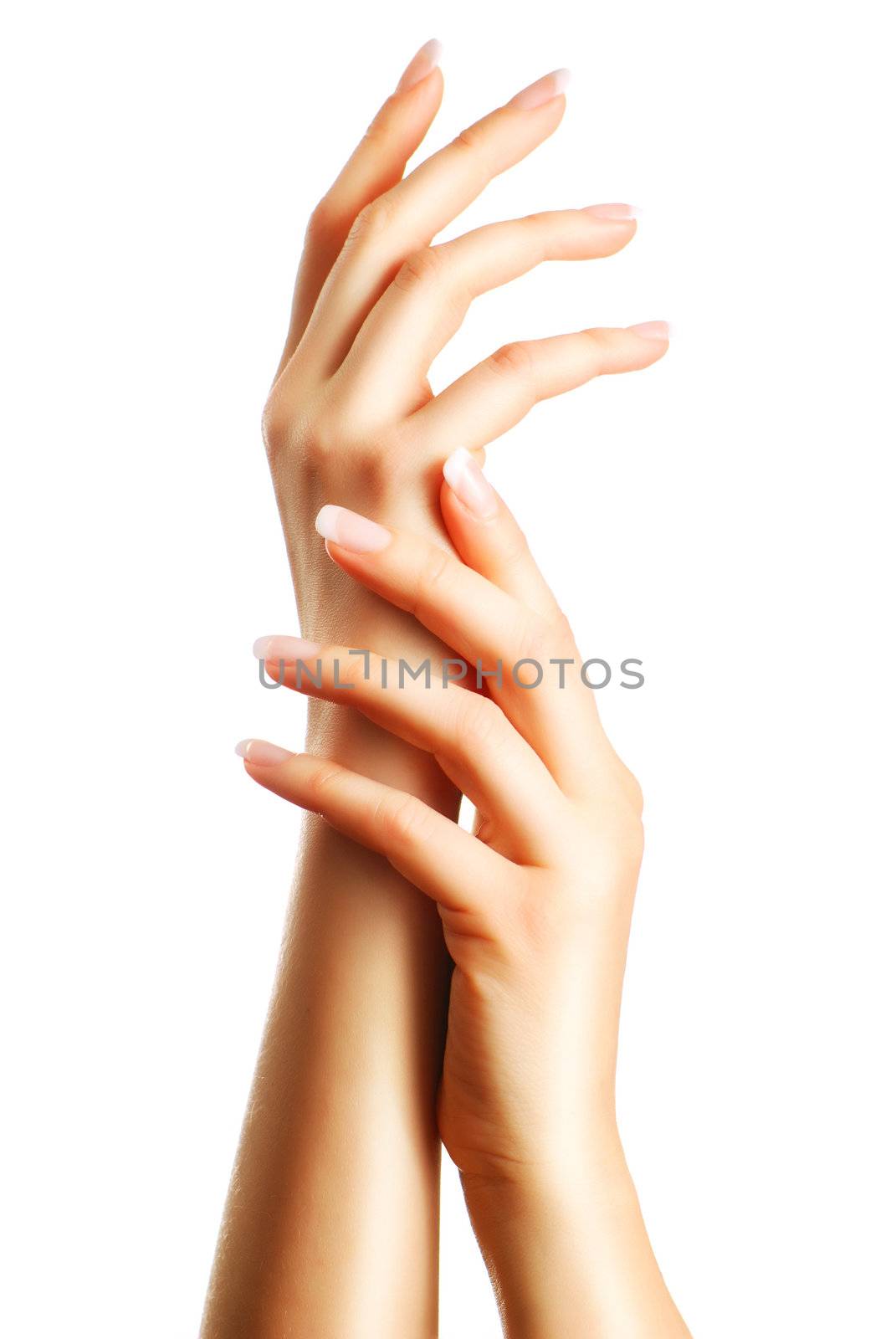 Beautiful female hands with french manicure