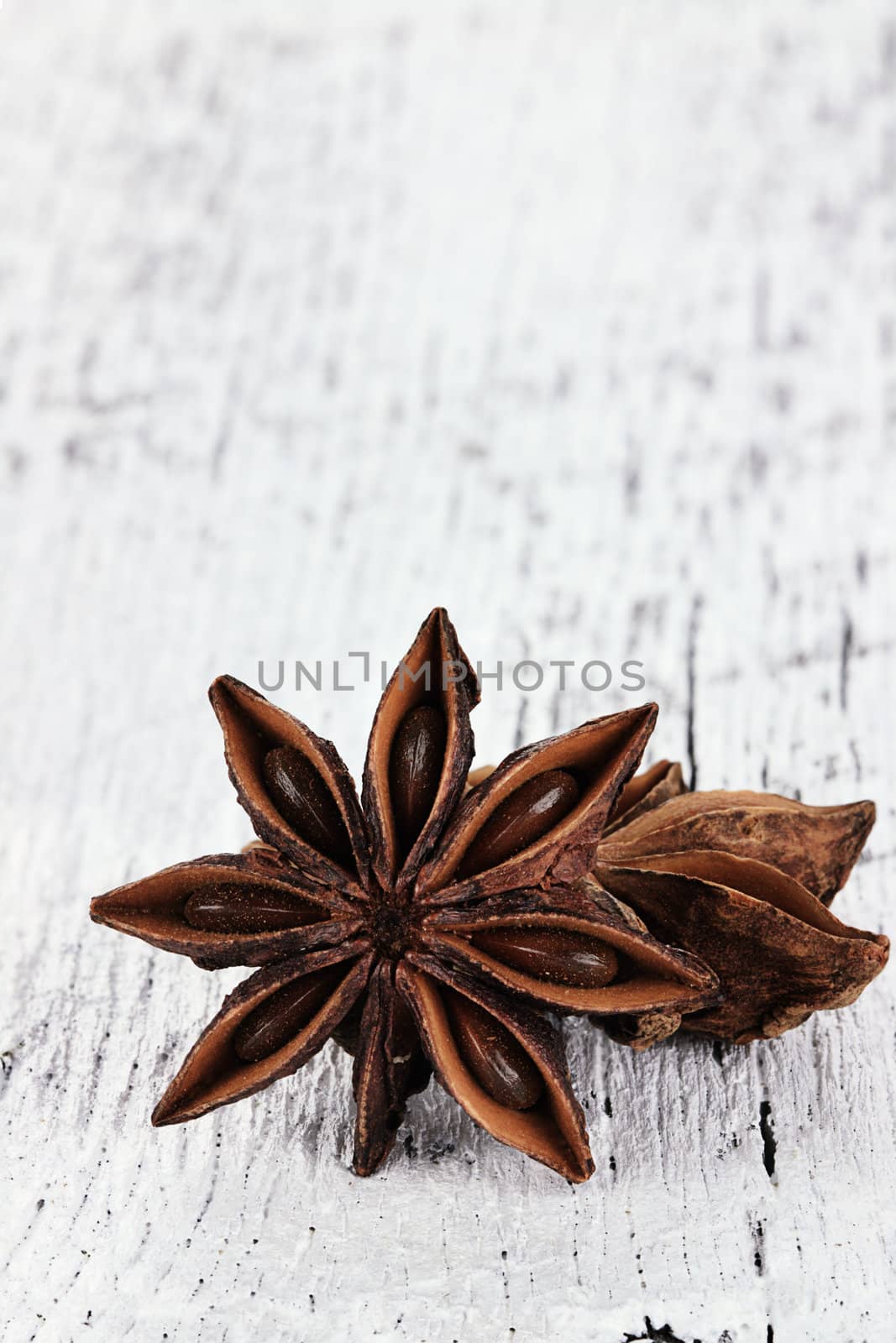 Star Anise spice over a white wooden background. Copyspace available.