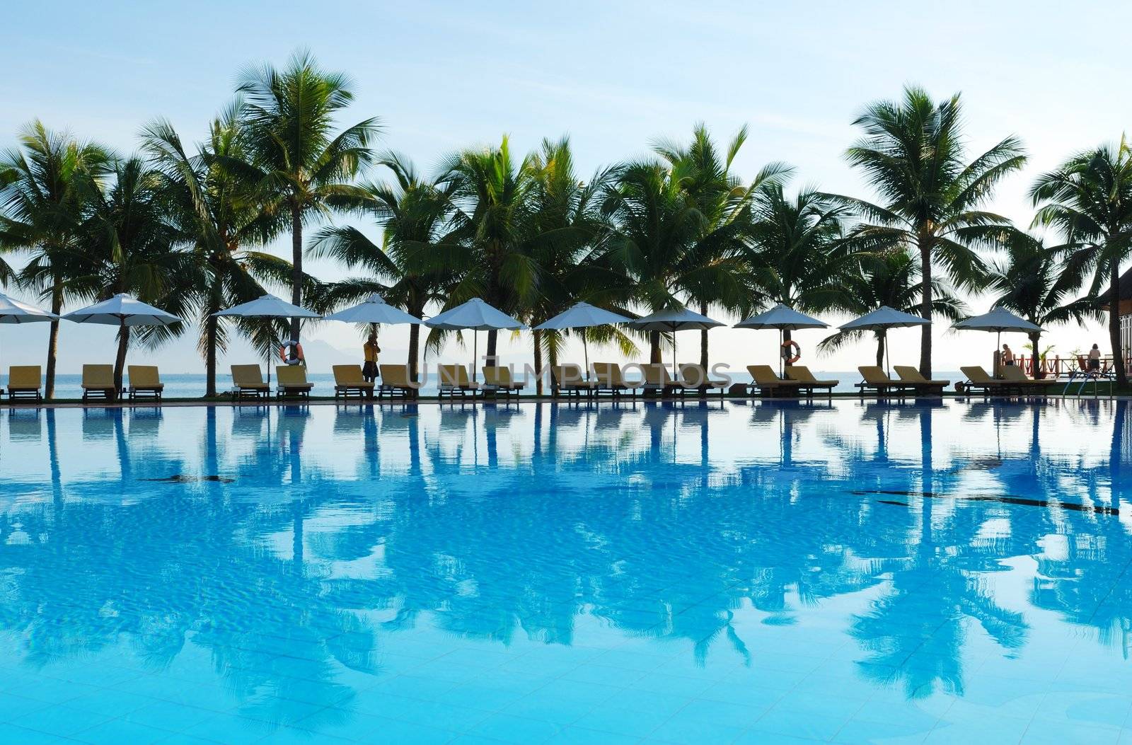 Tropical pool in luxury hotel