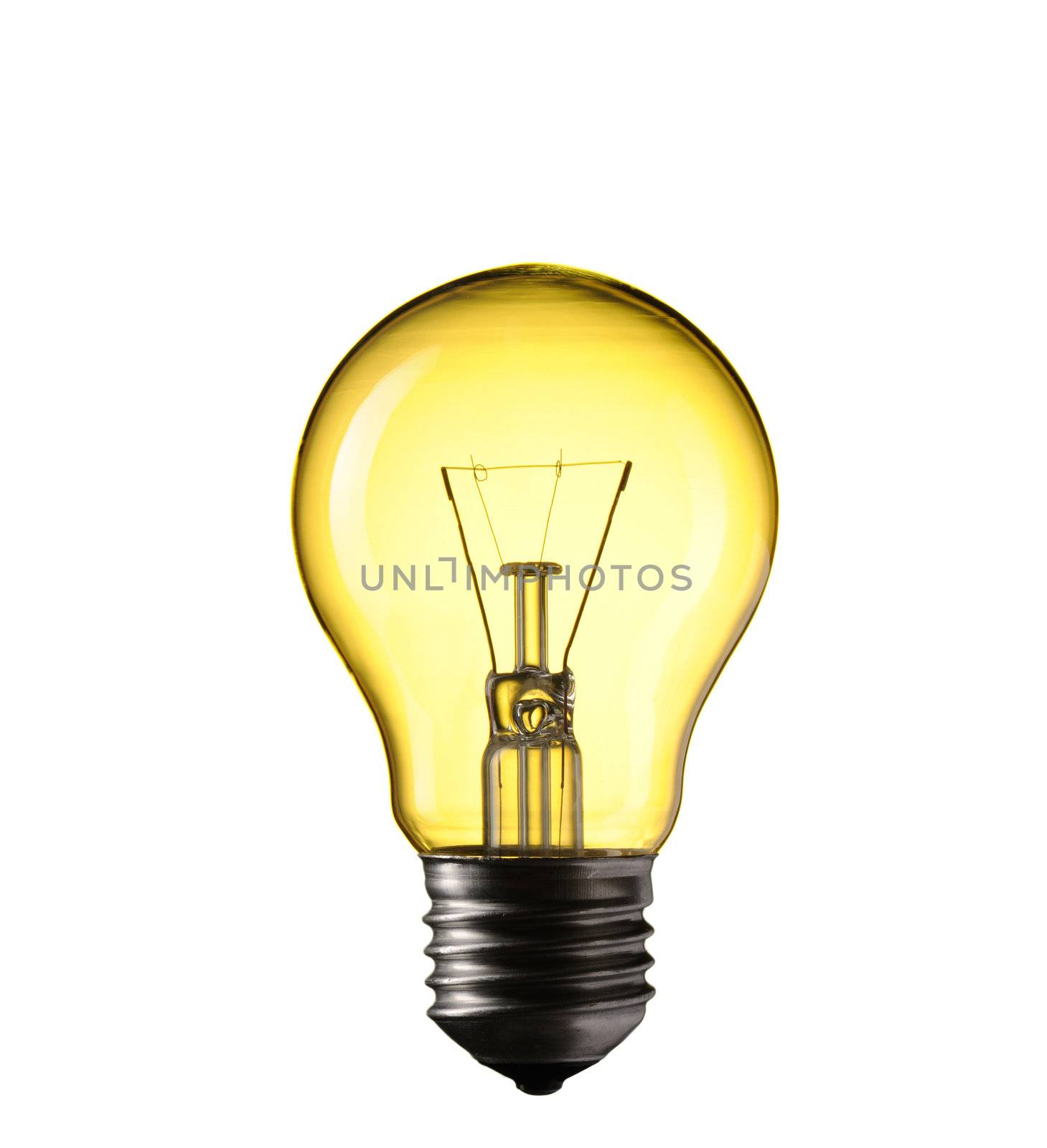 Light Bulb isolated on white background