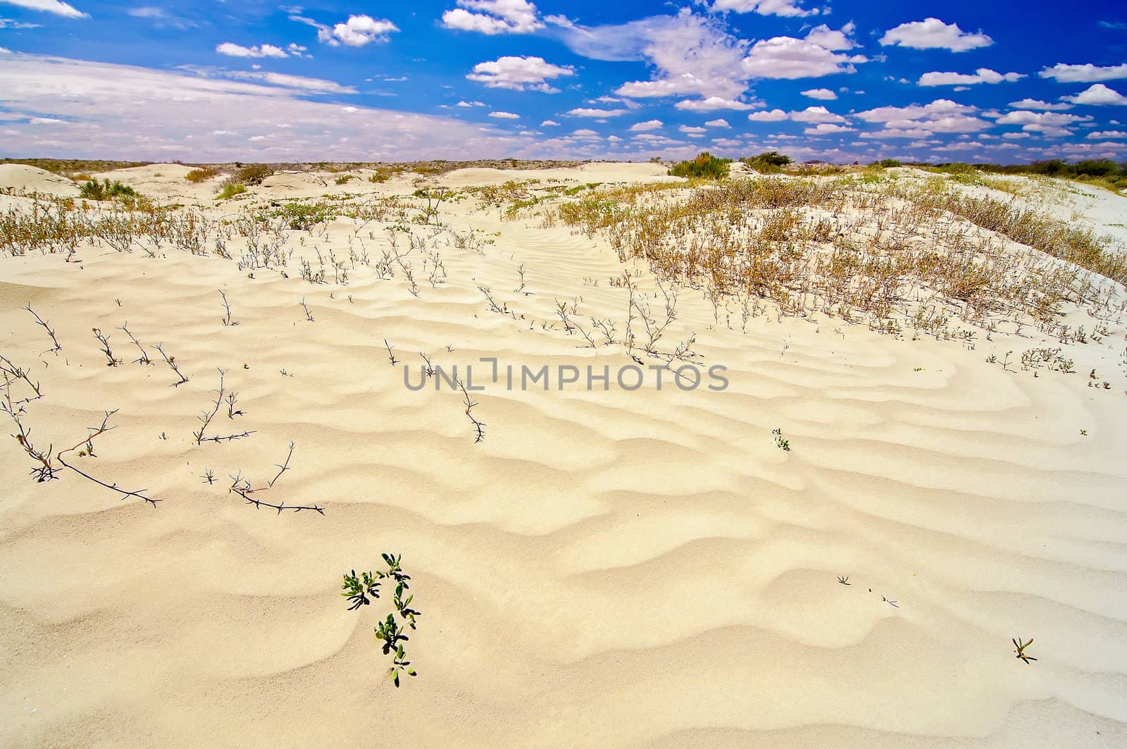 Ripples in white sand set against a deep blue sky.