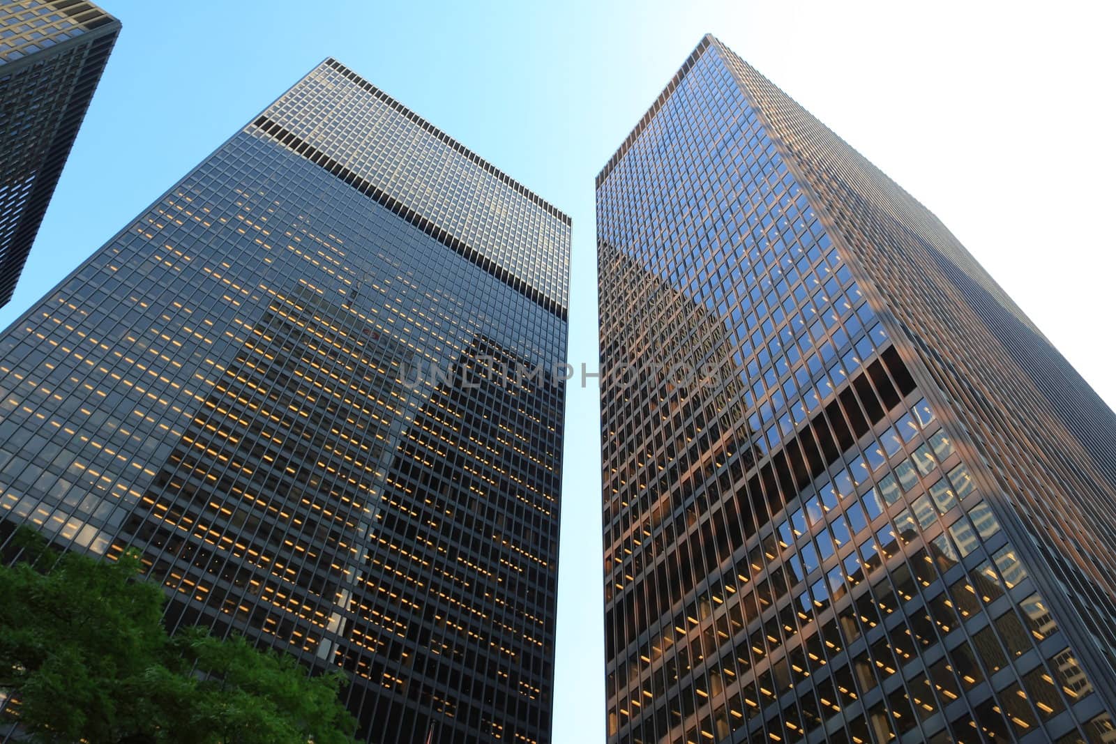 New skyscrapers of downtown.Canada.