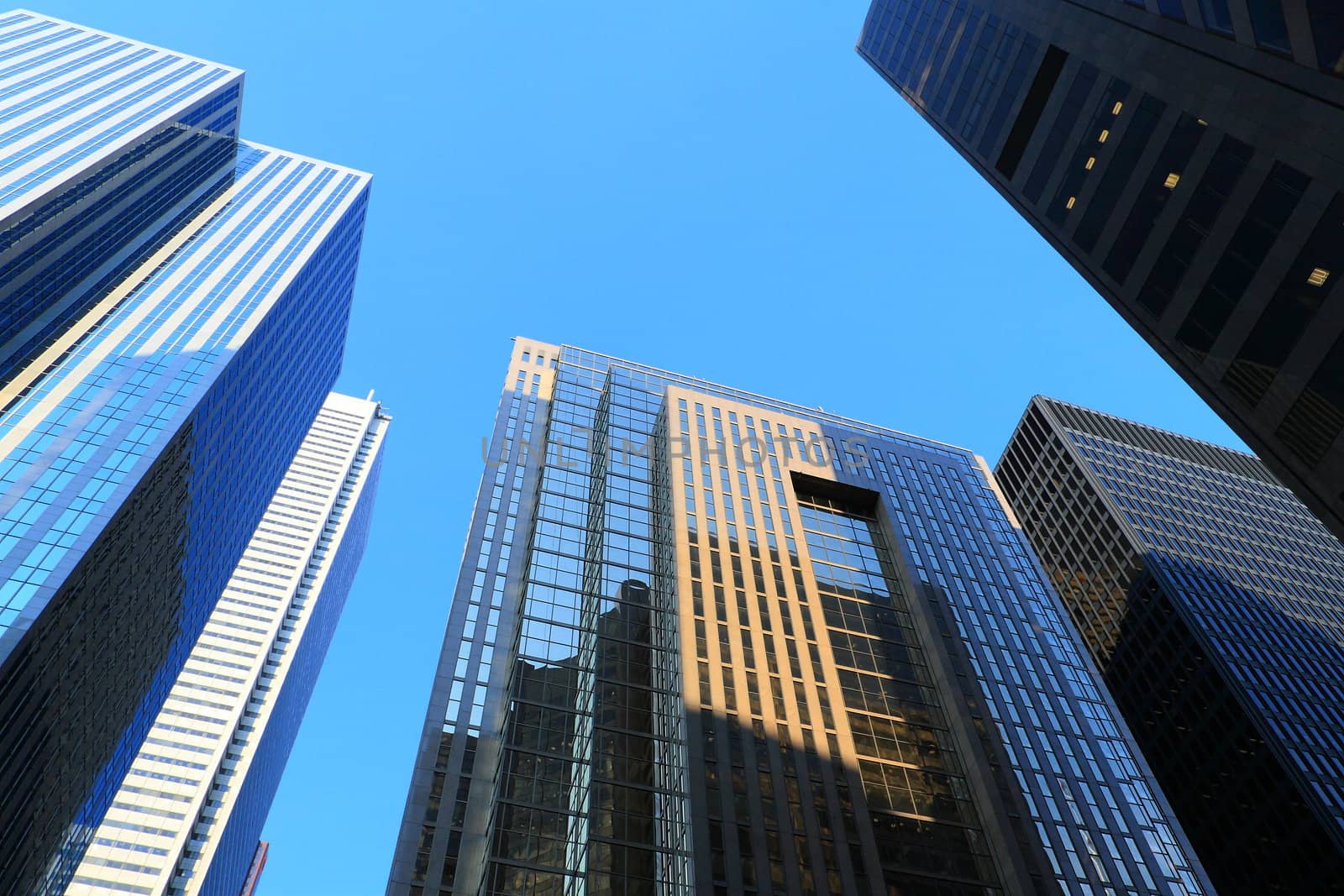 New skyscrapers of downtown.Canada.