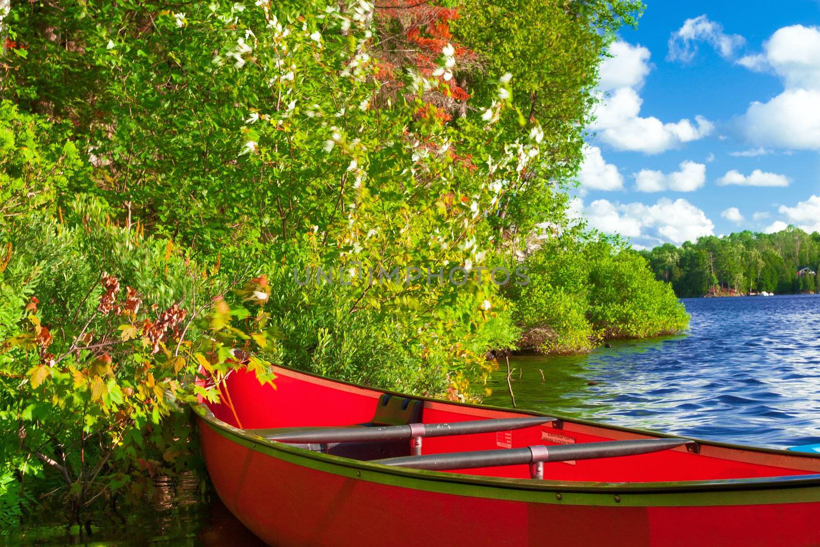 Red canoe by sergey02