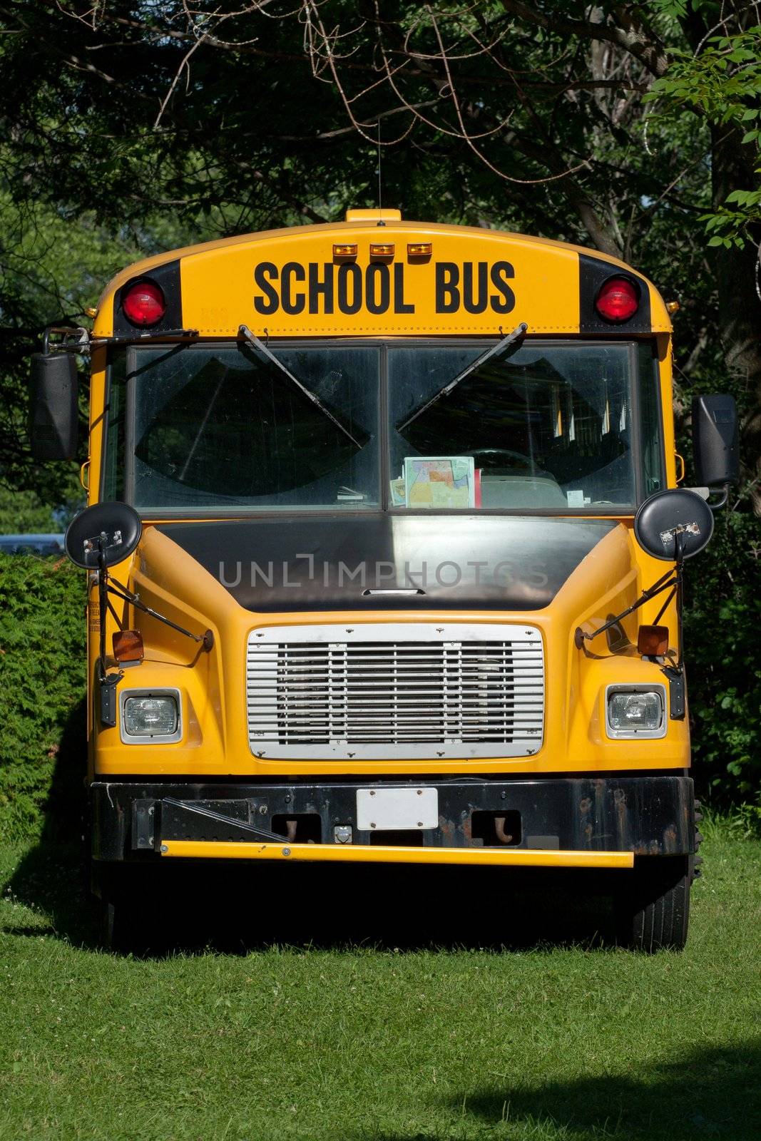 School Bus in the park.