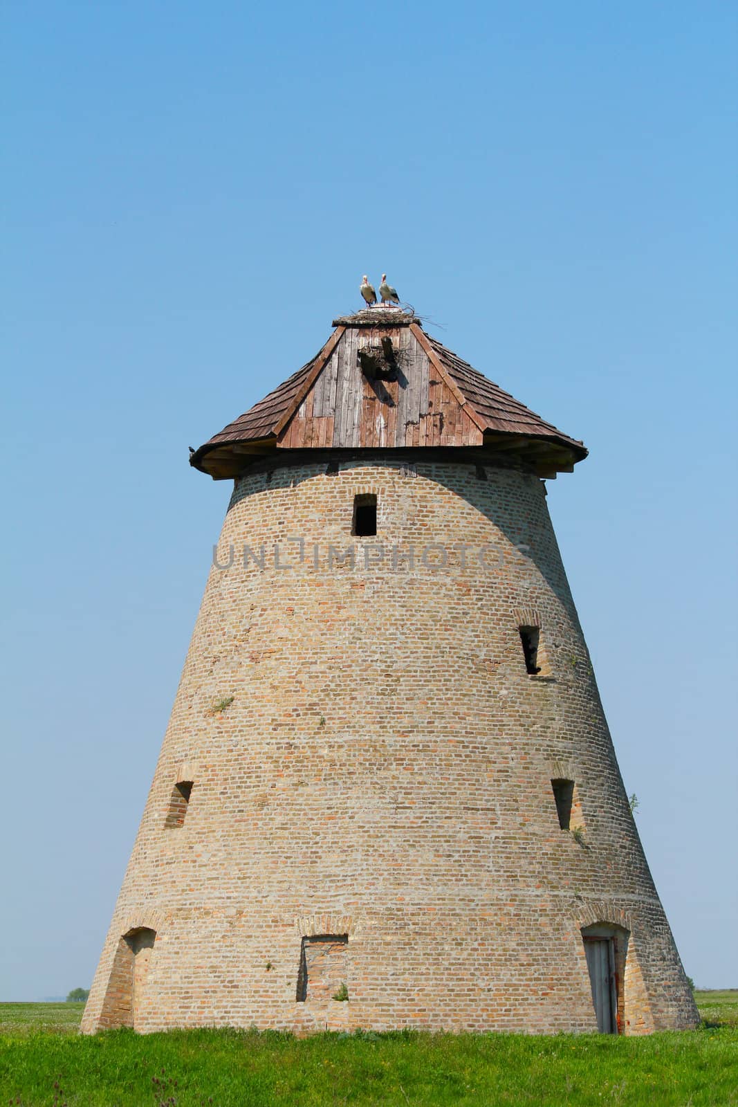 old windmill with stork nest on roof by goce