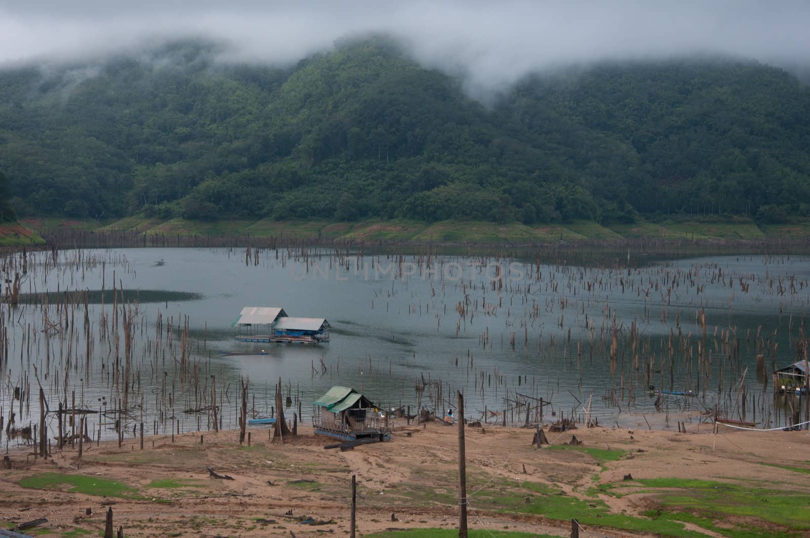 Balahala Forest in yala, thailand - Balahala forest is most perfectly forest in South of Thailand