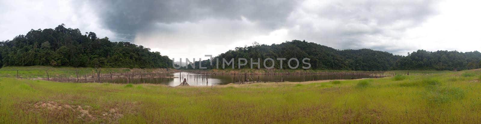 Balahala Forest in yala, thailand by ngarare