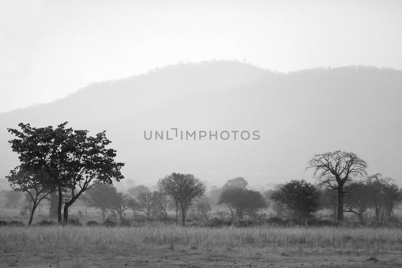 Sunset over the dry African Savannah, Mikumi, Tanzania