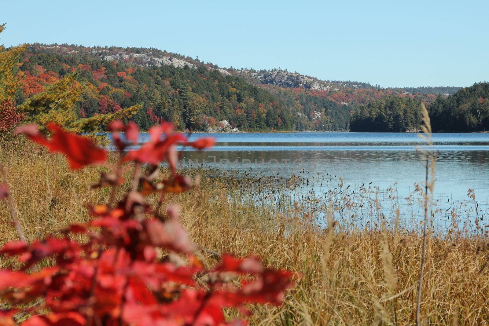 Foliage landscape. Rocky ridges, colourful trees and clear blue lake
