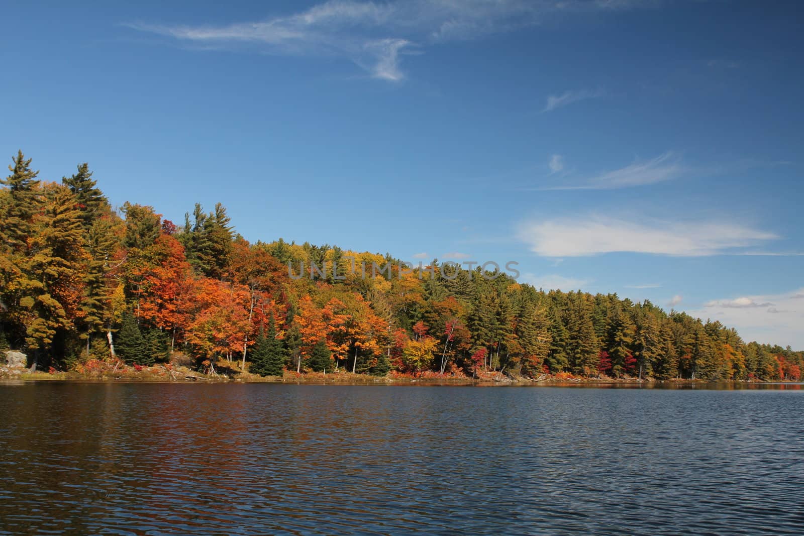 Lake and autumn trees reflecting on calm water, in Ontario, Canada
