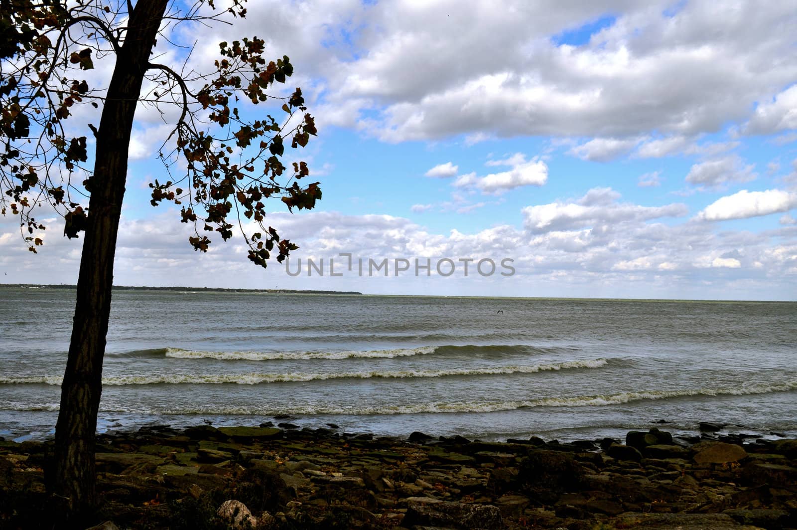 Rocks on beach by RefocusPhoto