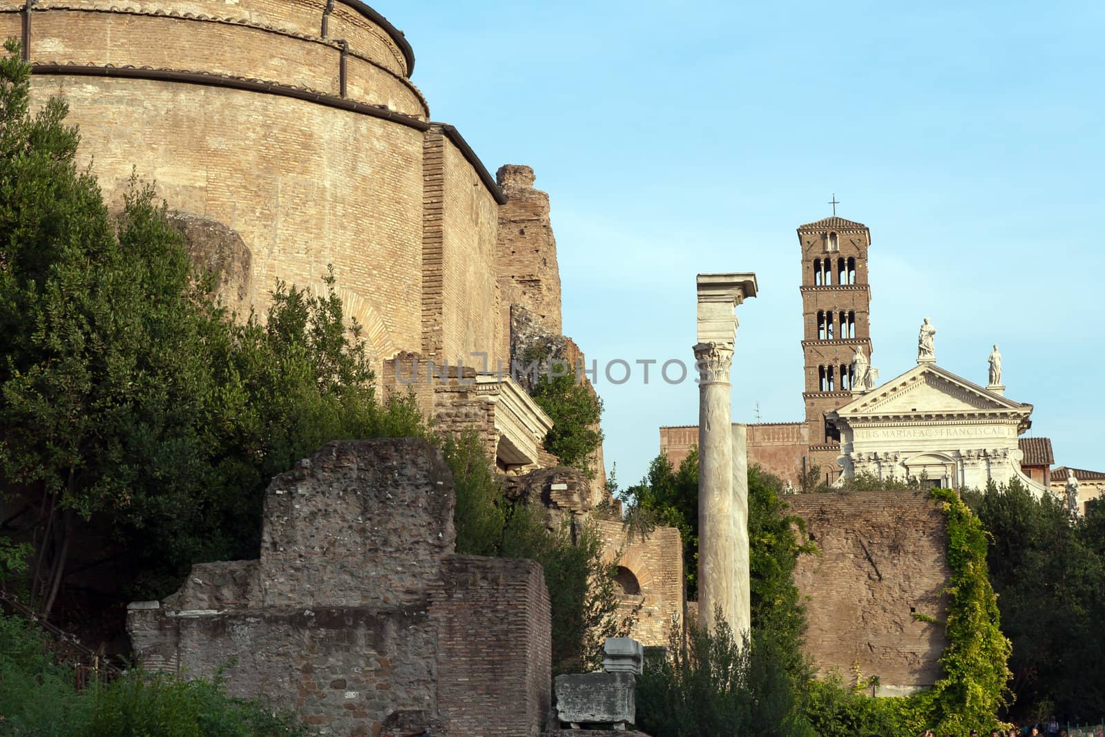 Rome. Temple of Antoninus and Faustina at Rome