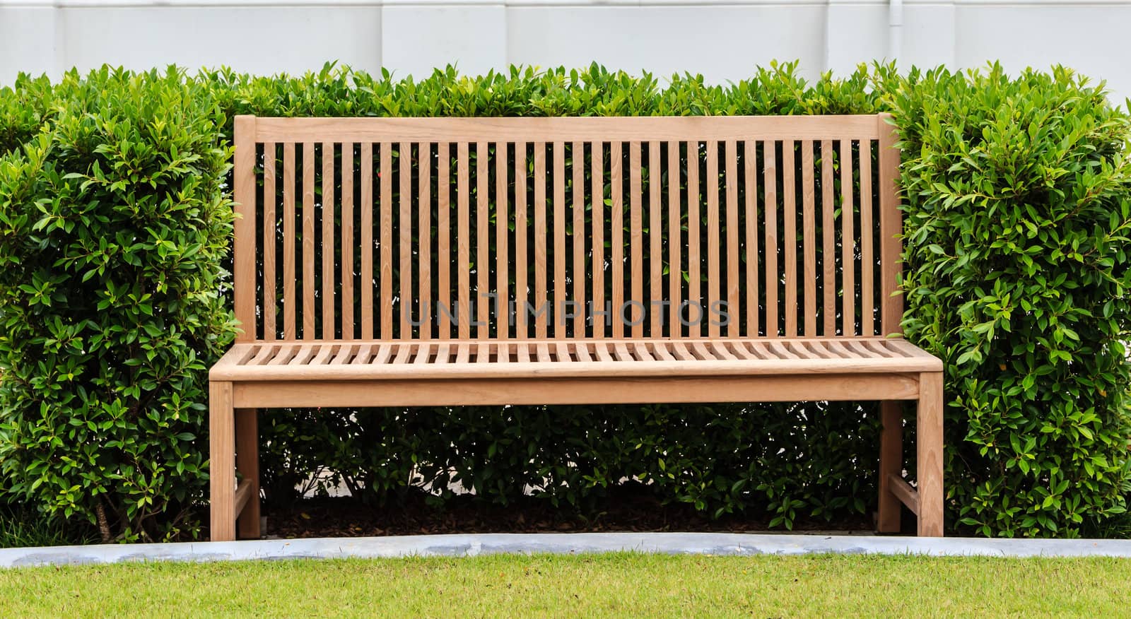 Wooden bench in green bush in front of white wall