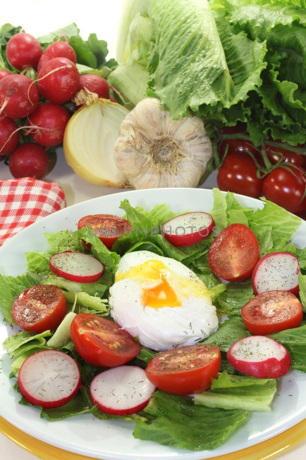 colorful mixed salad with poached egg