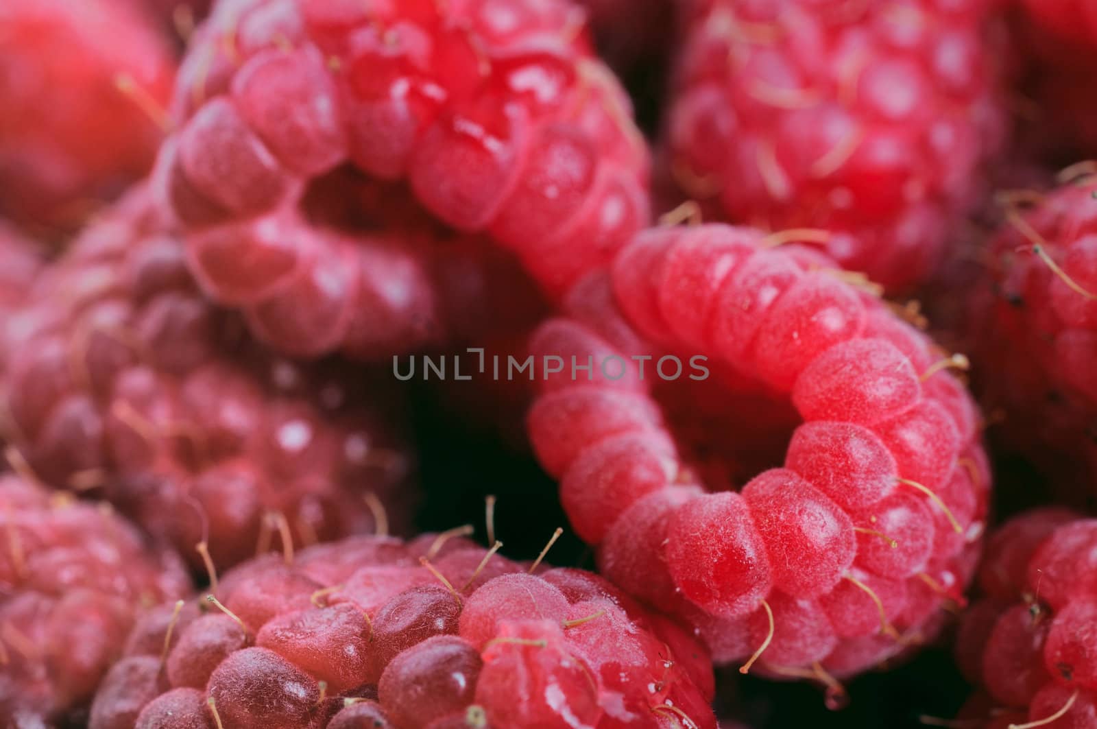 Raspberries background by iryna_rasko