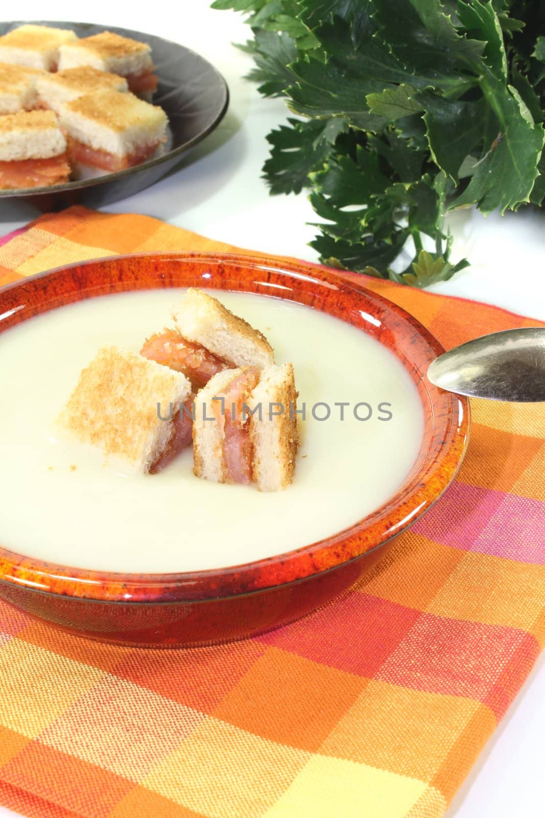 fresh Cream of celery soup with salmon croutons on a checkered napkin before light background