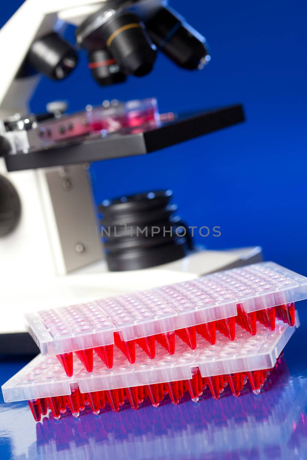 96 well plates on lab table with red liquid samples by motorolka