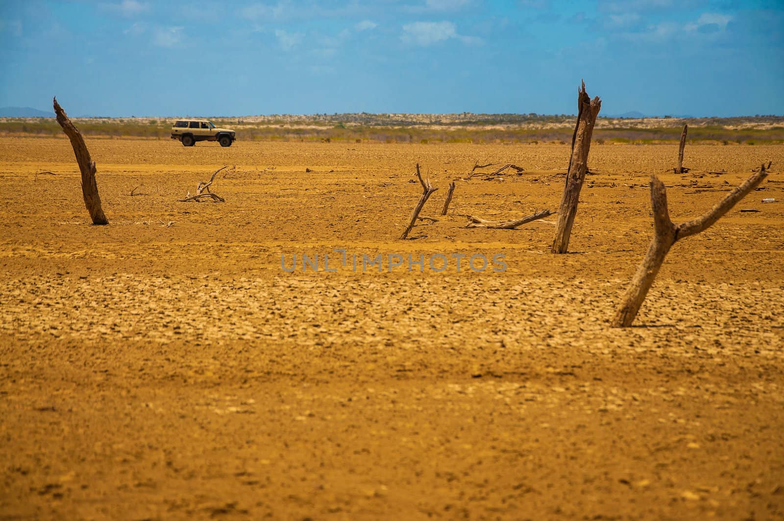 A view of a desolate desert with an SUV in the background.