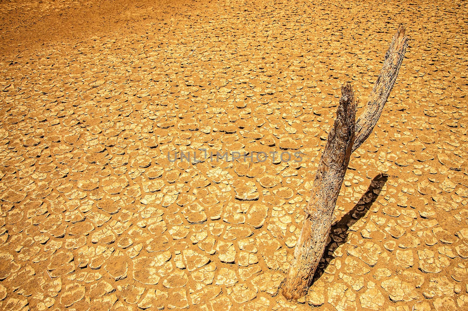 Cracked and parched earth in a dry desert wasteland.