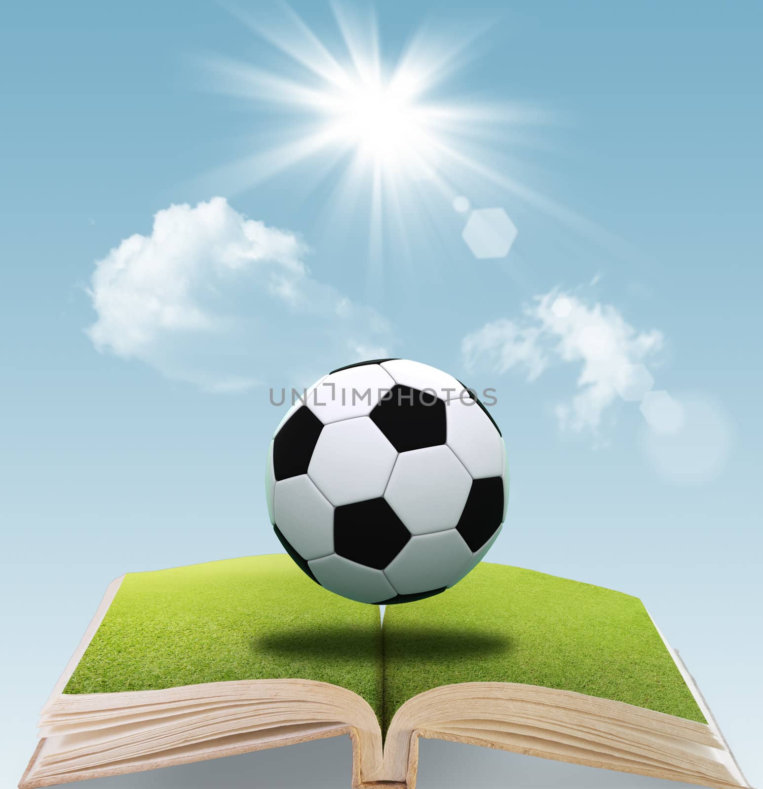 open book of soccer ball on green grass and blue sky background