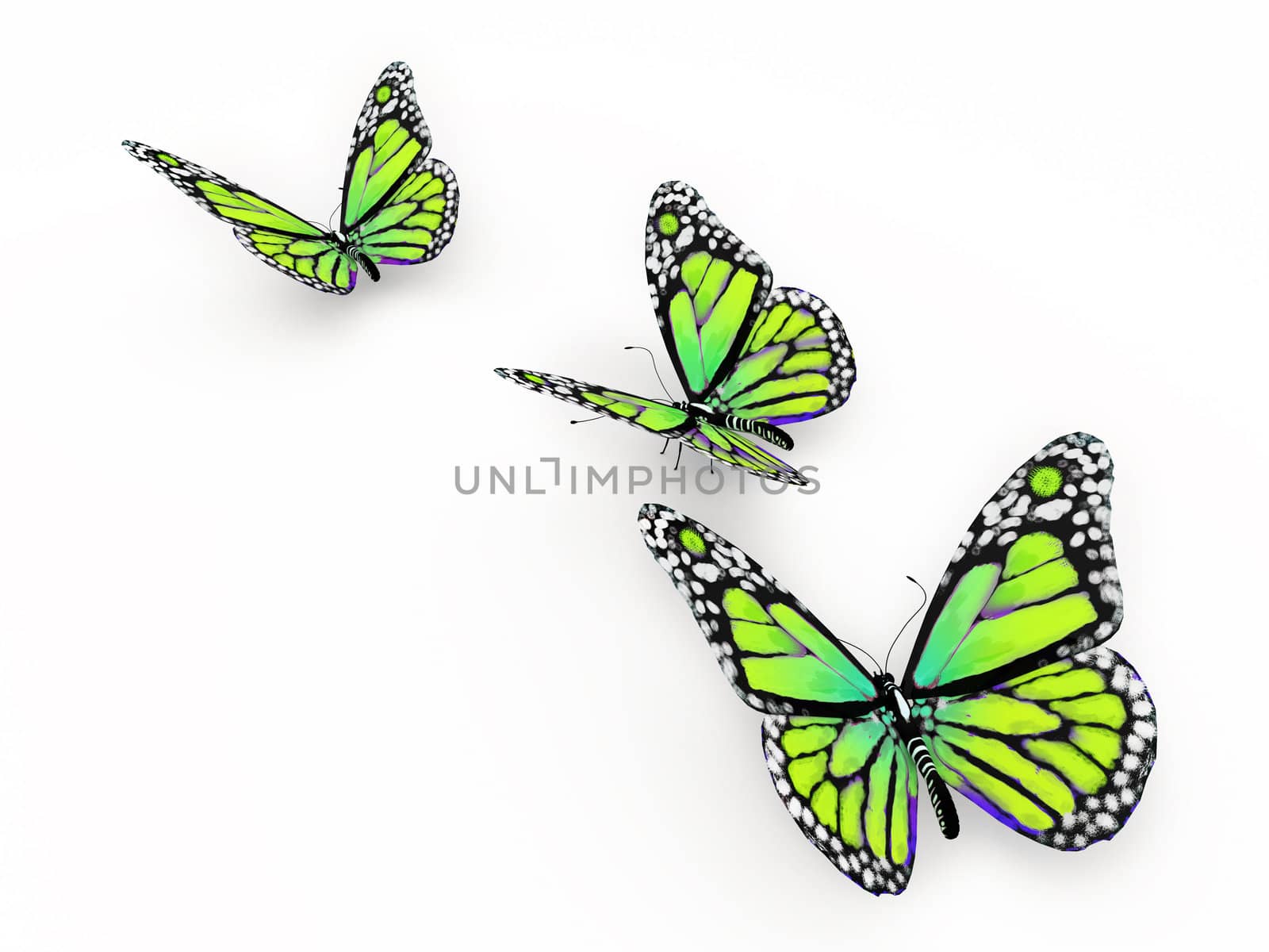 Butterfly isolated on white 3d illustration