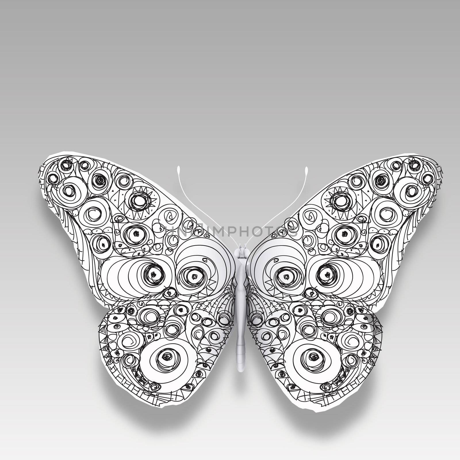 hand drawn butterfly on white
