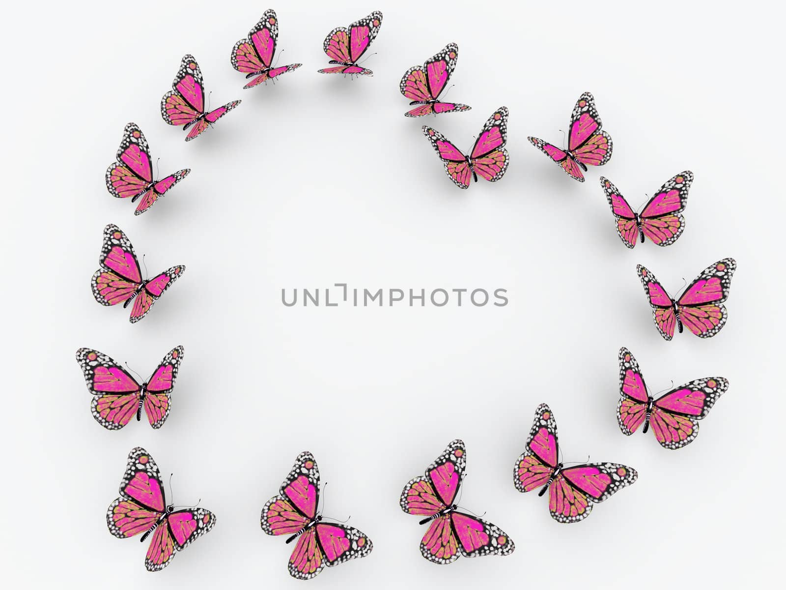 pink butterflies isolated on white background by buchachon